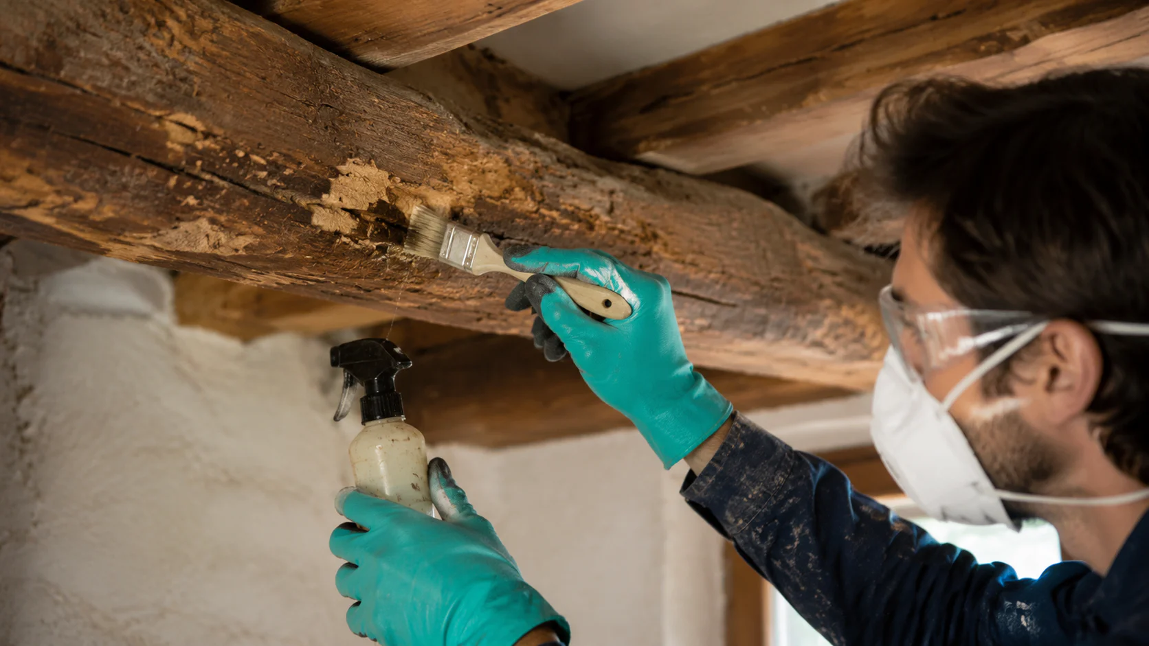 Traitement de la mérule sur une poutre en bois ancienne