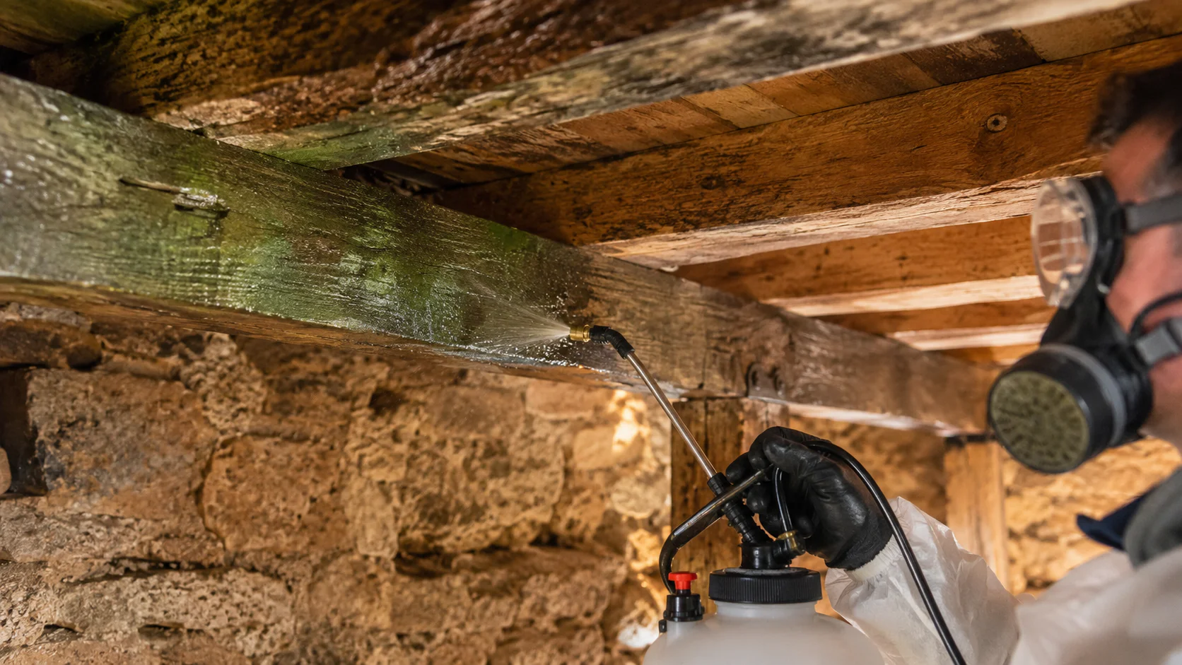 Application de solution de sel de bore sur poutres en bois anciens