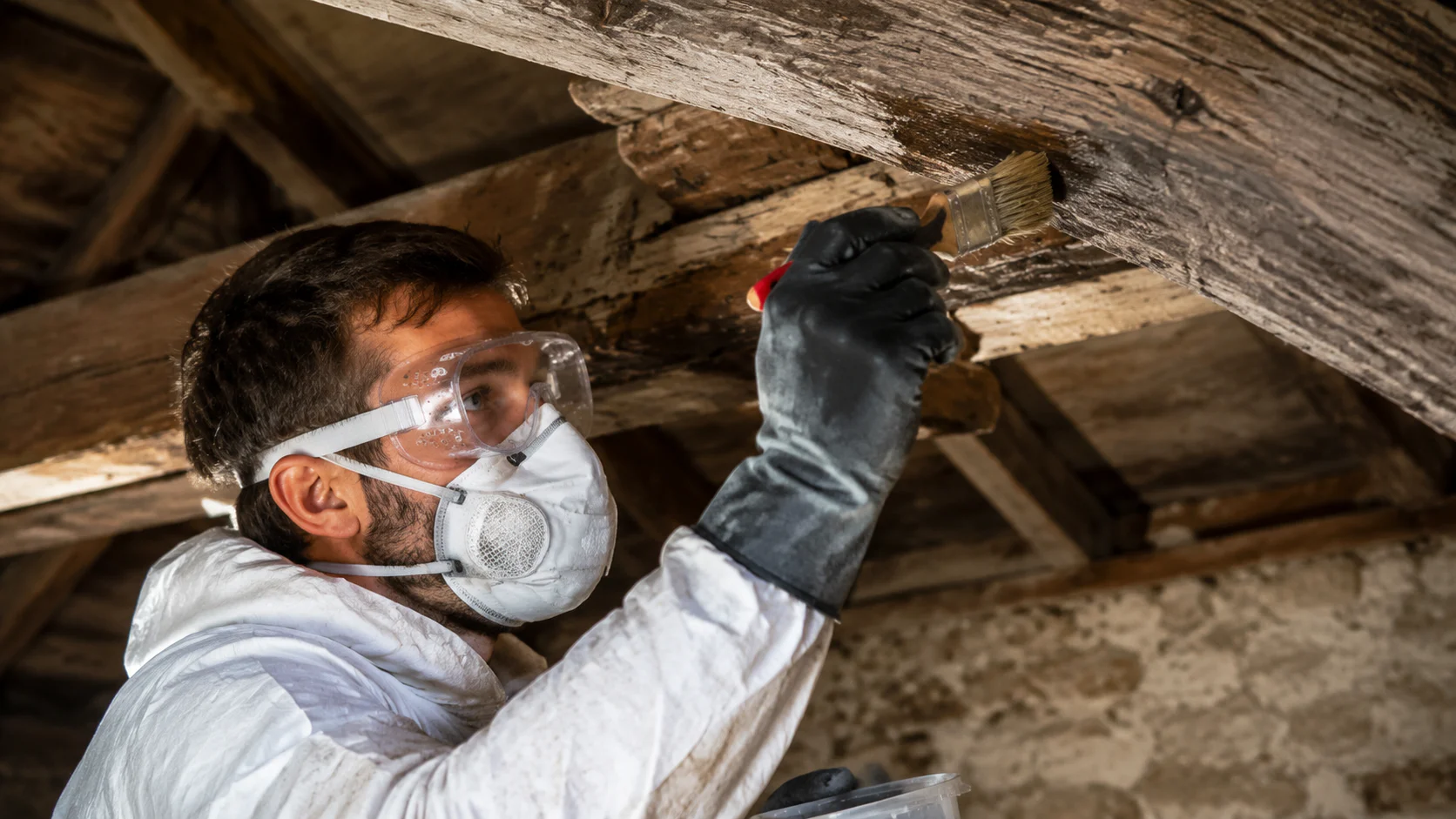 Professionnel appliquant un produit fongicide sur poutre de charpente