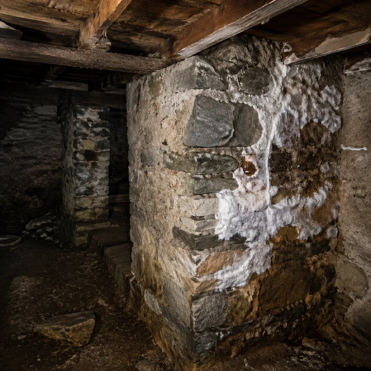 Cave humide envahie par la mérule avec mycélium visible sur les murs en pierre