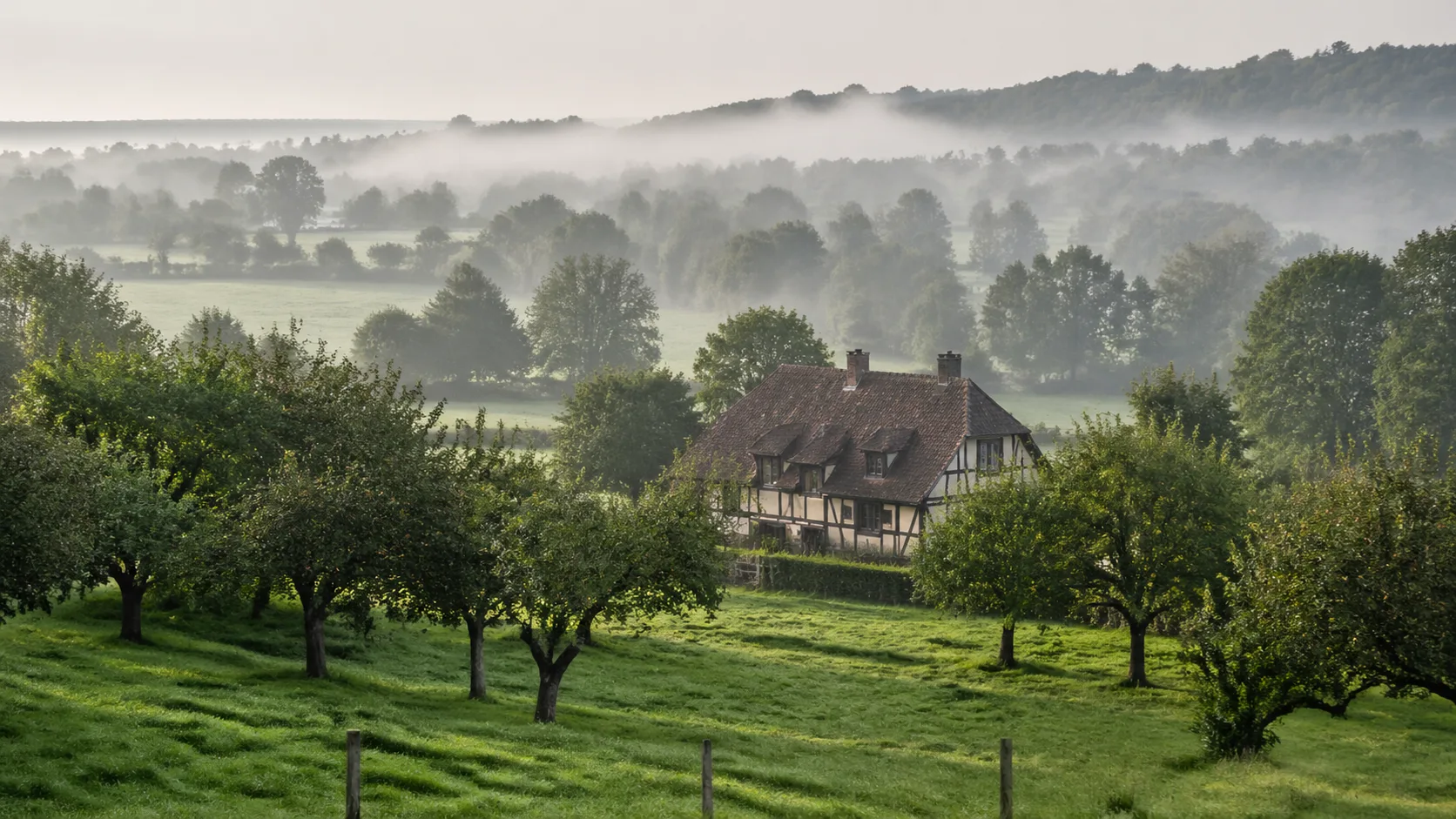 Bocage normand brumeux avec maison à colombages traditionnelle, climat humide favorisant la mérule